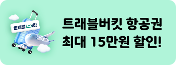 항공권 버튼